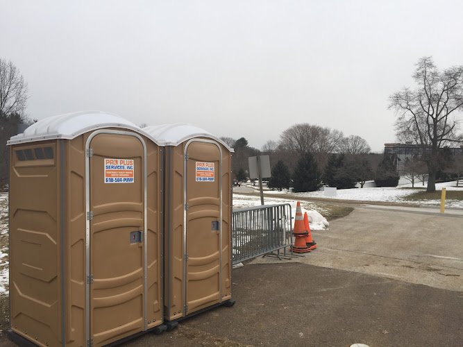 Professional Plus Services Inc