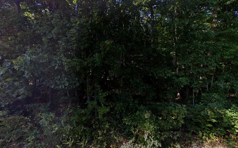 Taylor's Septic Services