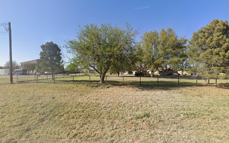 True Blue Services LLC