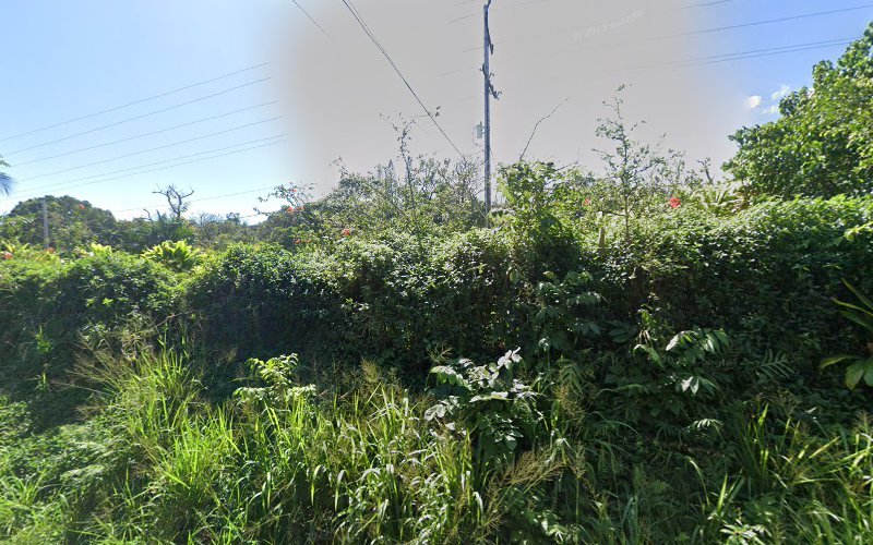 ?A?ali?i Hauling Services